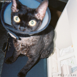 粗口体育生视频
