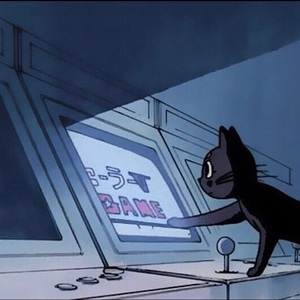 粗口体育生视频
